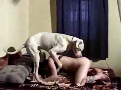 Big white dog getting good at his hot little bitch owner