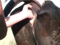 Naked bitch sticking her hand inside the cow’s pussy