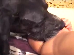Hot blonde having good sex with her gifted dog