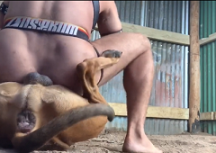 Gay sitting hot on his dog’s dick