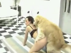 Skinny girl on all fours having sex with a dog