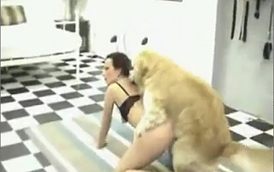 Tranny Dog Fuck - Skinny girl on all fours having sex with a dog - Zoo Porn