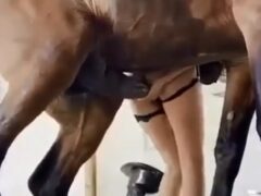 Hard-nosed horse eating the brand new hot pussy