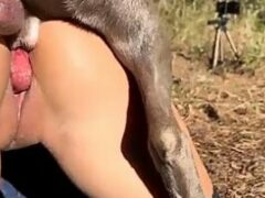 Dog eating naughty woman on all fours