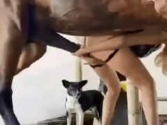 Whore fucking standing up in good fuck with horse