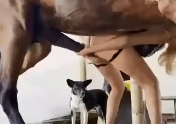 Whore fucking standing up in good fuck with horse
