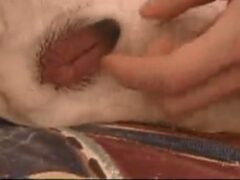 Oral sex man sucking dog pussy video porno