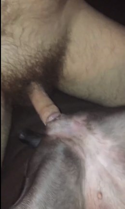 Dick going in pussy having sex with bitch