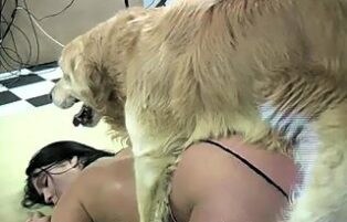 Zoofeliagratis dog having sex with a lesbian