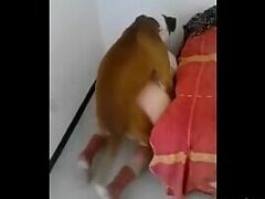 Dog eating woman fucking ass