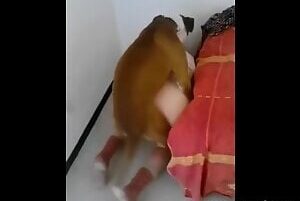 Dog eating woman fucking ass