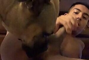 Man having sex with dog that sucks his ass