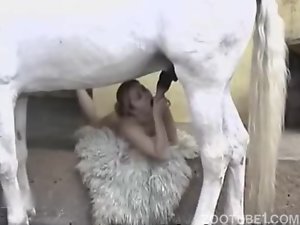 Amateur Horse Sex - Amateur porn of 22 year old blonde sucking a horse's penis - Zoo Porn