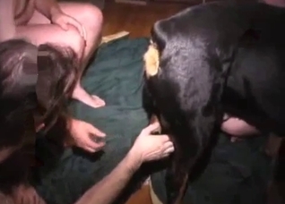 Gay Dog Dick Porn - Gays take turns sucking dog's dick - Zoo Porn