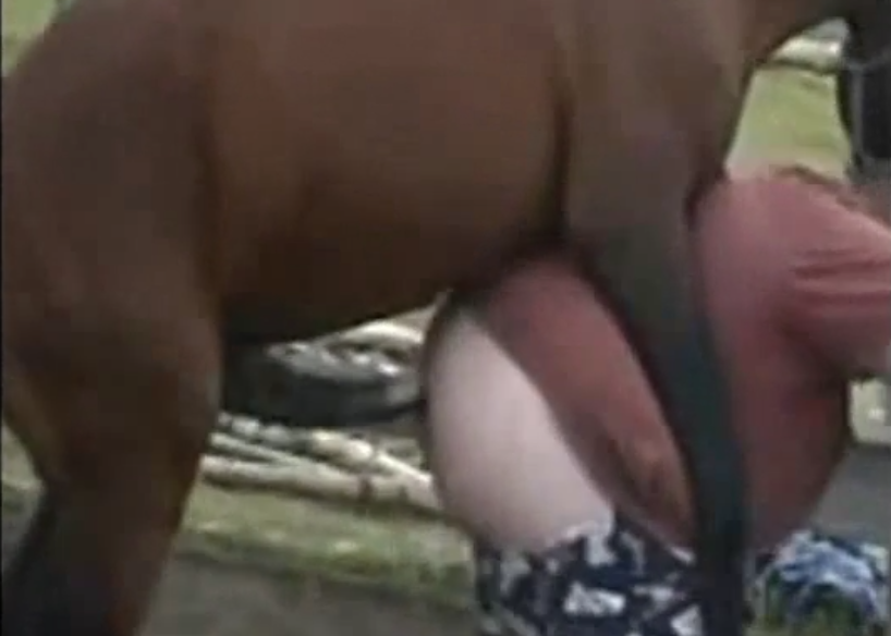 Animal Porn Horse Fucks Man - Gorda went to piss in the pasture and the horse fucked her pussy - Zoo Porn
