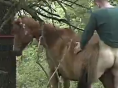 Man fucking mare outdoors during the day
