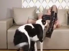 Sexy blonde spreads her legs and receives oral from the dog
