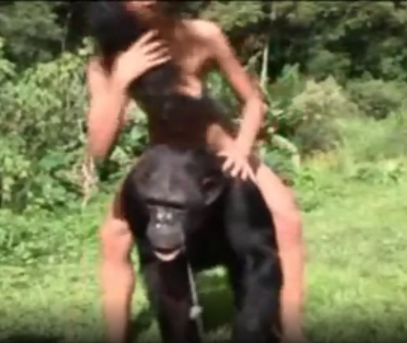 Apes Fucking Girls - Strong monkey fucking skinny naughty girl - Zoo Porn