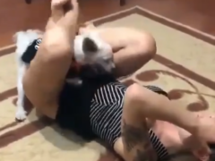 Tiny 30 centimeter dog fucking his naughty mistress