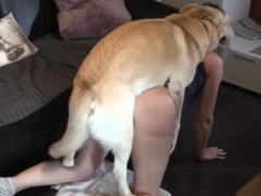 Chubby dog likes to fuck his owner hard