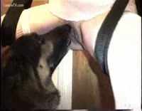 First time letting dog lick my shaved pussy