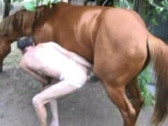 Gay has orgasms with giant horse