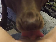 I made a video yesterday of my dog sucking my pussy