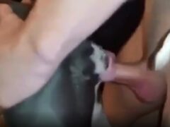 Man fucks dog pitbull female naughty