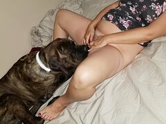 My sister-in-law drank tequila and had sex with dog
