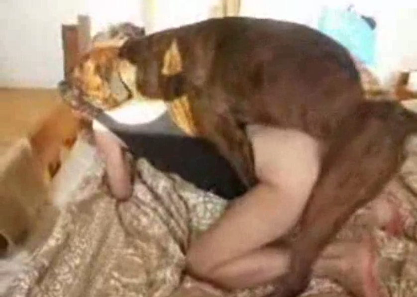 Xvido Dog - Xvideos porn of teen sucking dogs - Zoo Porn