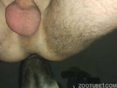 I’m not gay, but I ended up letting the dog fuck me