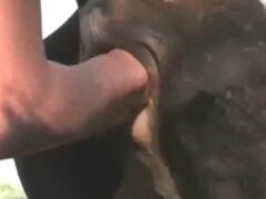 Teen lesbian puts hand in big pussy of the naughty cow