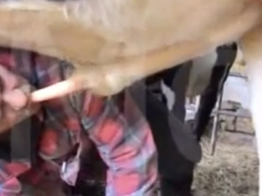 Texas farmer lets bull fuck his ass