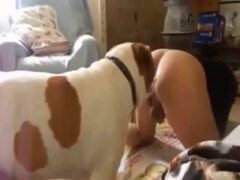 Big ass women love big dick dogs