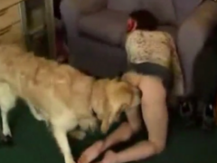Slut makes video fucking uncle and dog