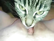 Woman squirting in cat’s mouth
