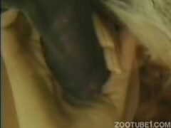 I filmed my father’s new girlfriend sucking a horse