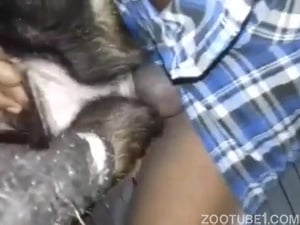 I like penetrating female dogs' virgin pussies - Zoo Porn