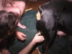 Naughty gay sucking fat black dog