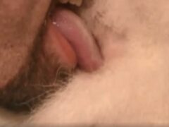 Perverted man licking a goat’s little ass