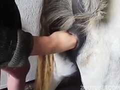 Putting his hand intensely in the mare’s pussy