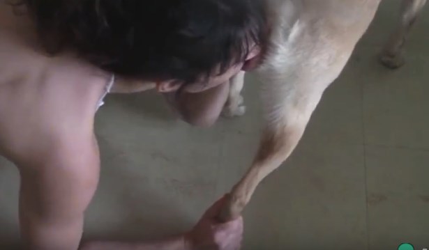 She rubs her pussy against the dog and gives him a blowjob - Zoo Porn