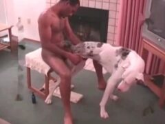 Strong Brazilian brunette fucks American female dog
