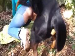 Watching outdoor sex porn with dogs