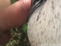 Delicious mare sucking the farmer’s thick penis