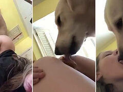Naughty dog enjoys tasting sexy young girl’s pussy