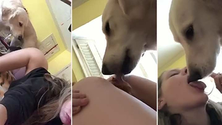 Saxy Dogand Girl - Naughty dog enjoys tasting sexy young girl's pussy - Zoo Porn