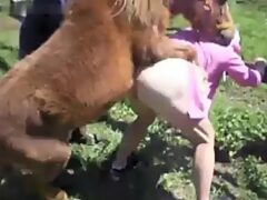 Naughty pony humiliating a farmer addicted to zoophilia
